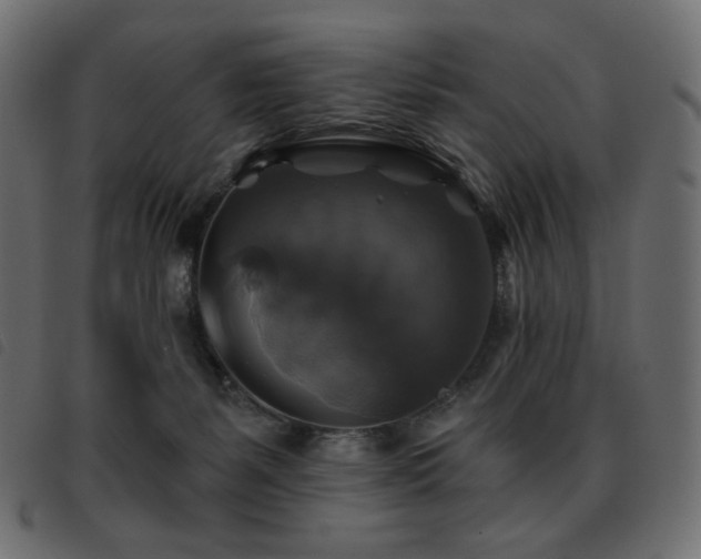 X0000093580127200710151152