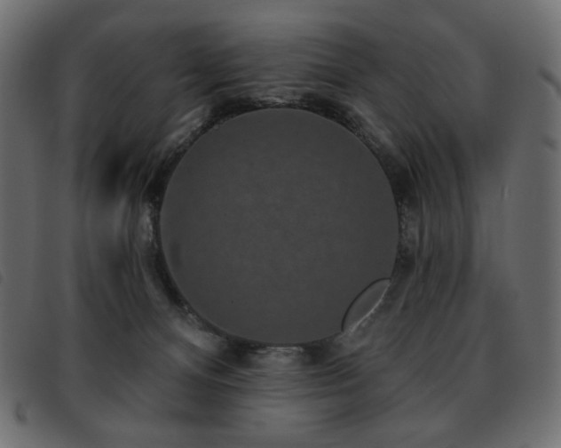 X0000093580128200710151152