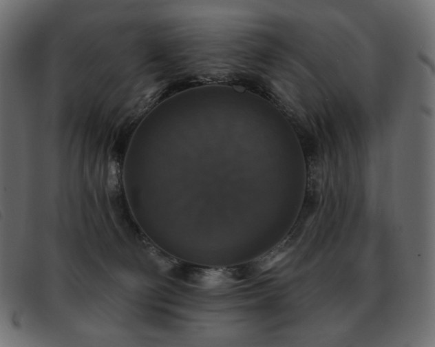 X0000093580130200710151152