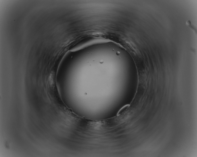 X0000093580131200710151152