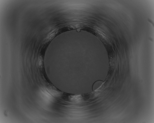 X0000093580132200710151152