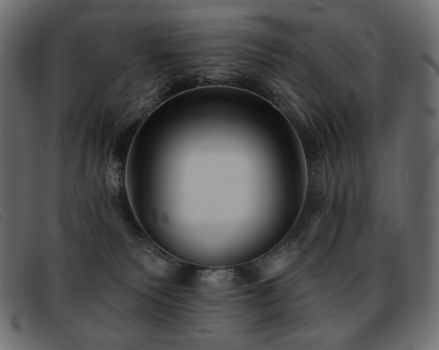 X0000093580135200710151152