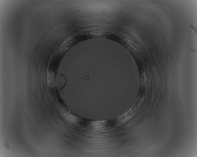 X0000093580136200710151152