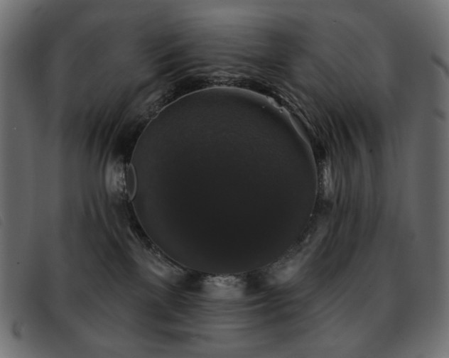 X0000093580137200710151152