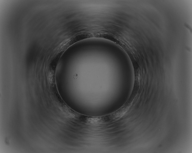 X0000093580139200710151152