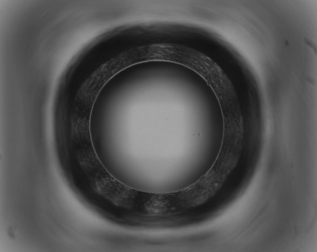 X0000093580142200710151152