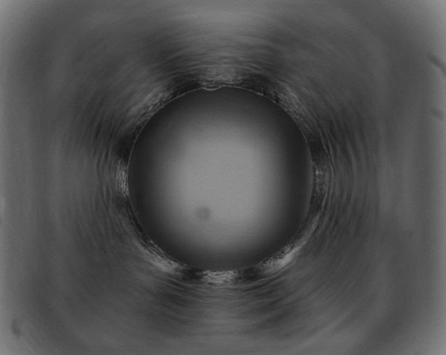 X0000093580143200710151152