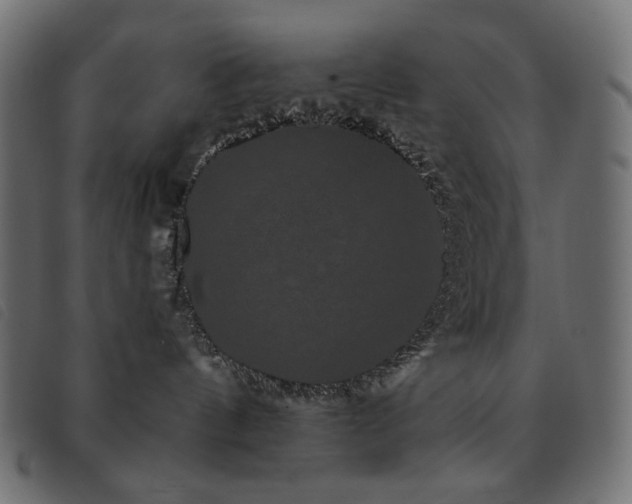X0000093580144200710151152