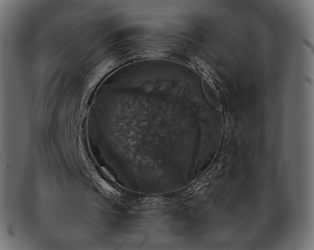 X0000093580145200710151151
