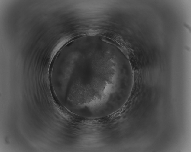 X0000093580147200710151151