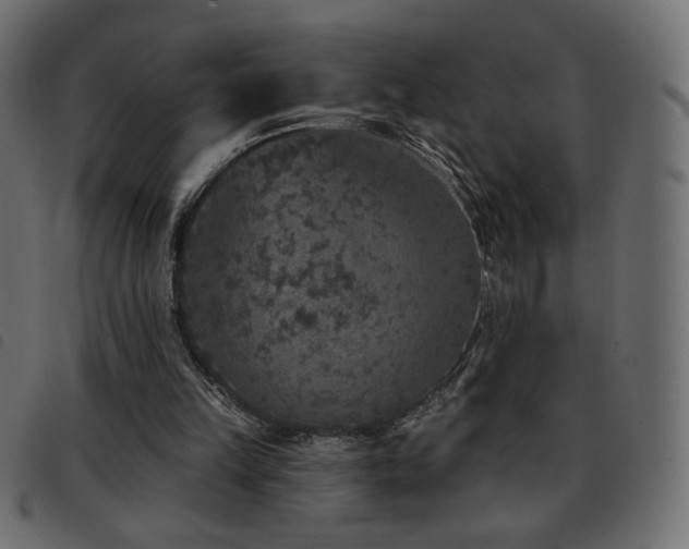 X0000093580149200710151151