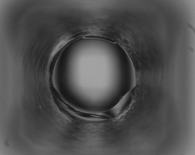 X0000093580150200710151151