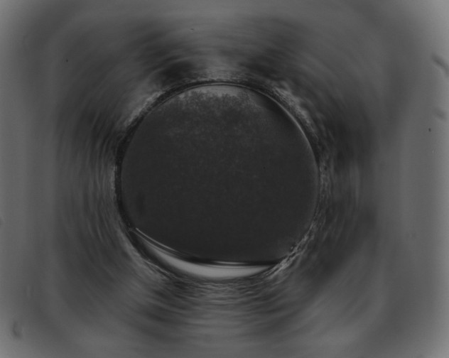 X0000093580154200710151151