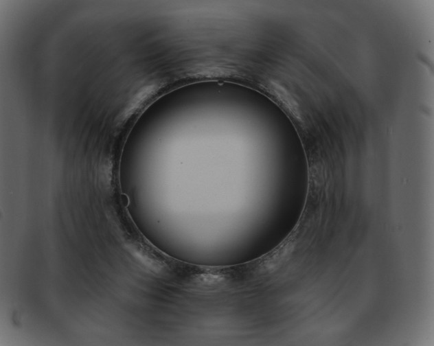 X0000093580159200710151151