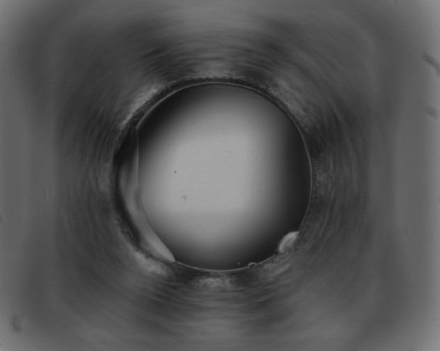 X0000093580160200710151152