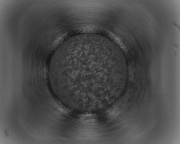 X0000093580161200710151152