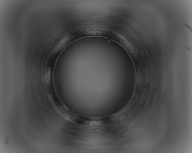 X0000093580163200710151152