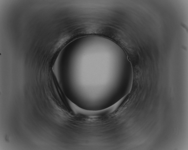 X0000093580164200710151152