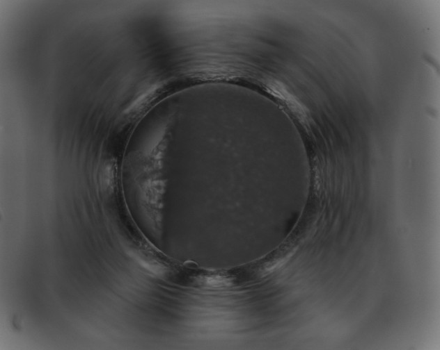 X0000093580165200710151152