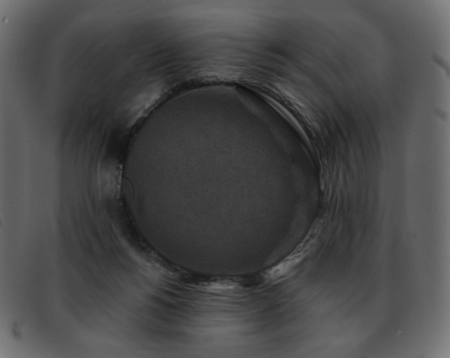 X0000093580168200710151152