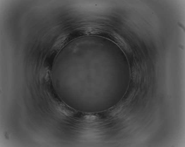 X0000093580169200710151152