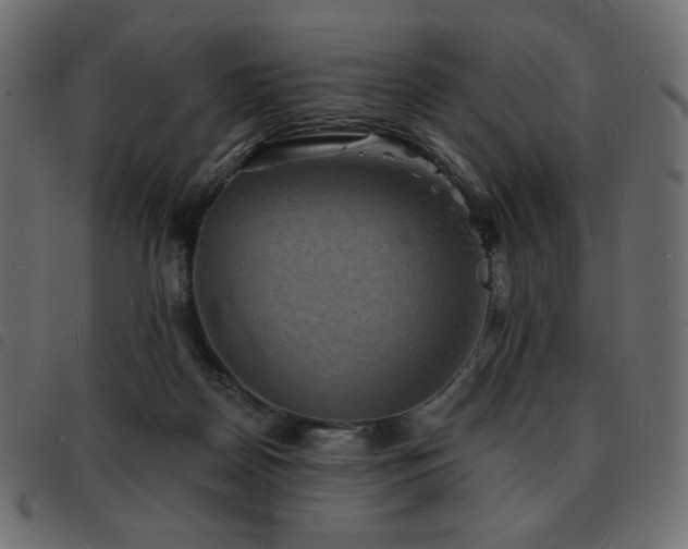 X0000093580170200710151152