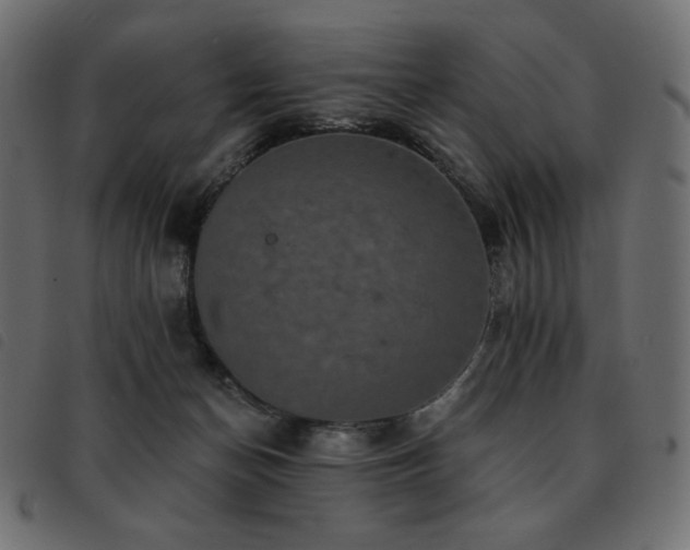 X0000093580174200710151152