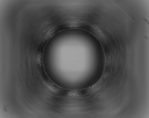 X0000093580175200710151152