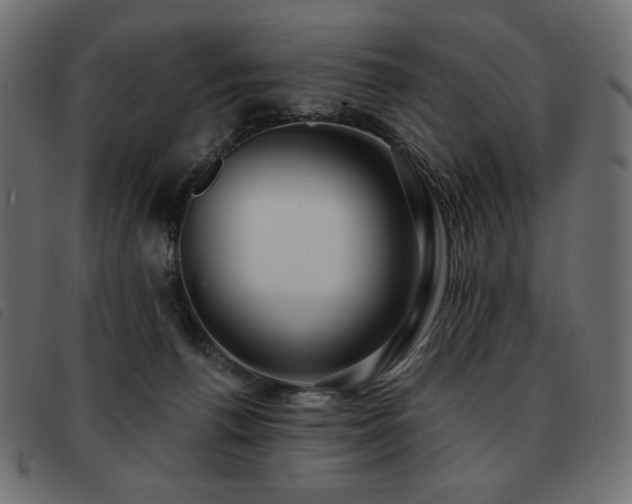 X0000093580176200710151152