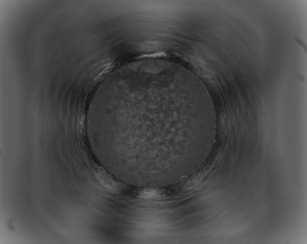 X0000093580177200710151152