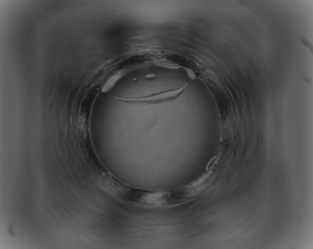 X0000093580178200710151152