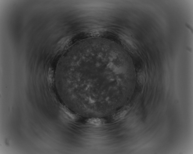 X0000093580181200710151152