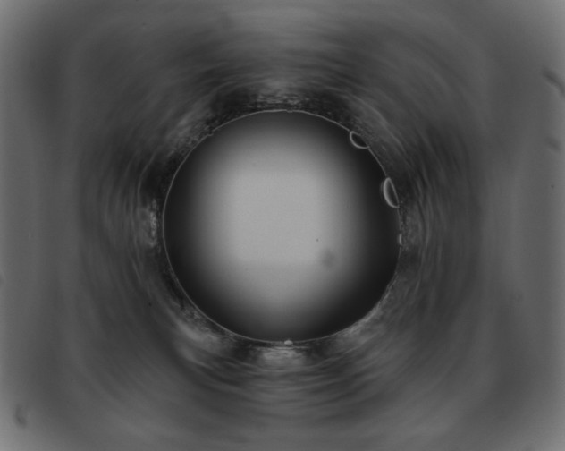 X0000093580183200710151152