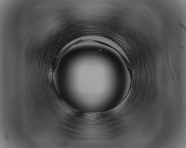 X0000093580190200710151152