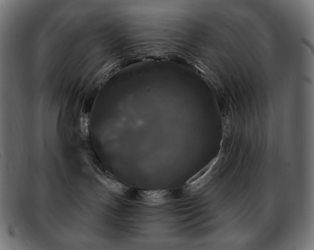 X0000093580191200710151152
