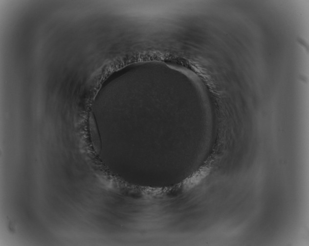 X0000093580192200710151152