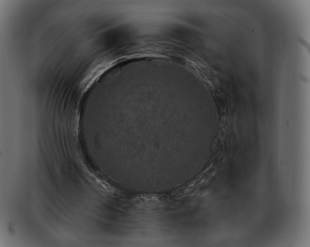X0000093580194200710151151