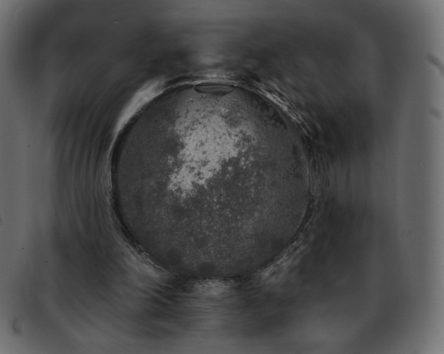 X0000093580198200710151151