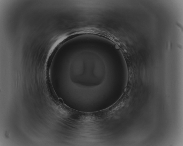 X0000093580200200710151151