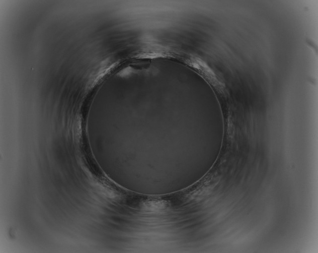 X0000093580202200710151151