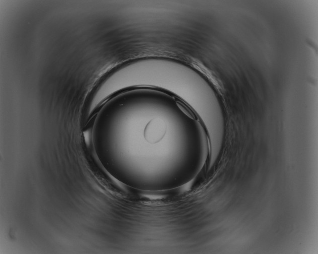 X0000093580203200710151151
