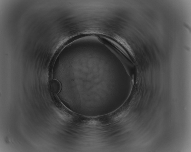 X0000093580204200710151151