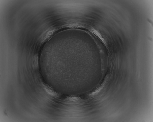 X0000093580205200710151151