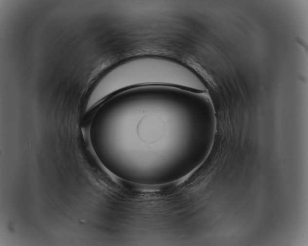 X0000093580207200710151151