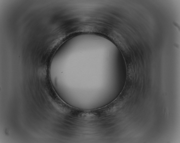 X0000093580208200710151151