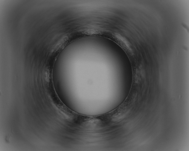 X0000093580210200710151151