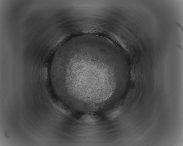 X0000093580211200710151151