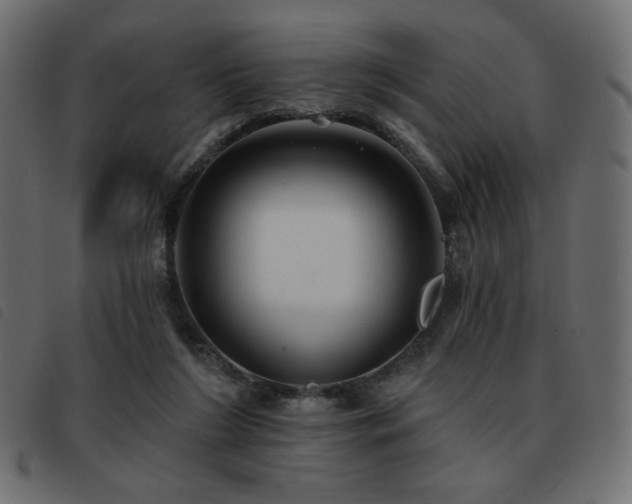X0000093580212200710151151
