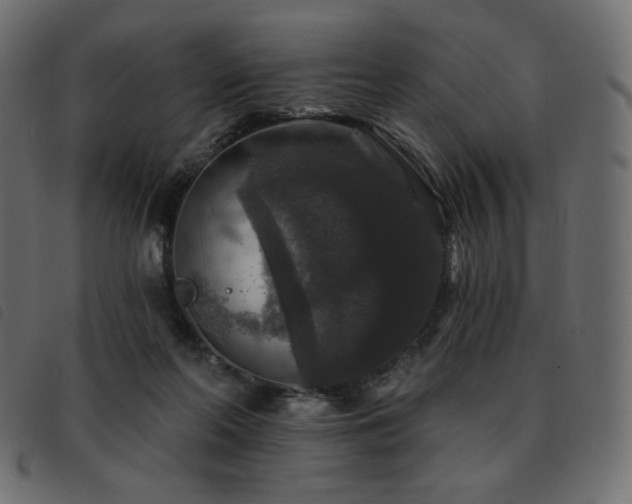 X0000093580214200710151151