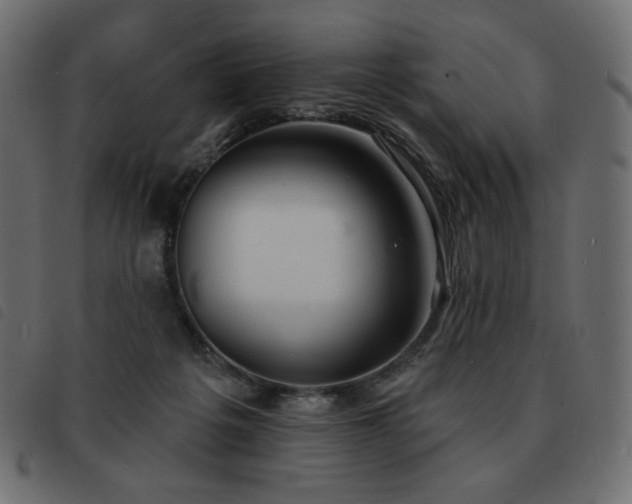 X0000093580217200710151151
